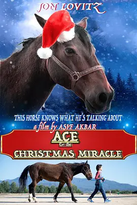 圣诞奇迹王牌马