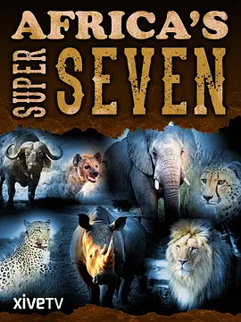 非洲七猛兽