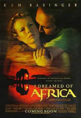 梦游非洲