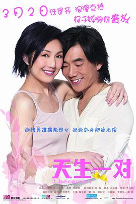 天生一对(2006)